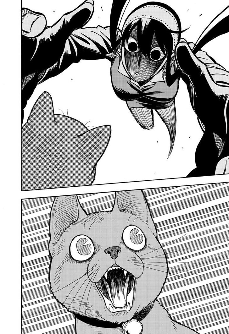 Spy x Family, Chapter 43 image 16